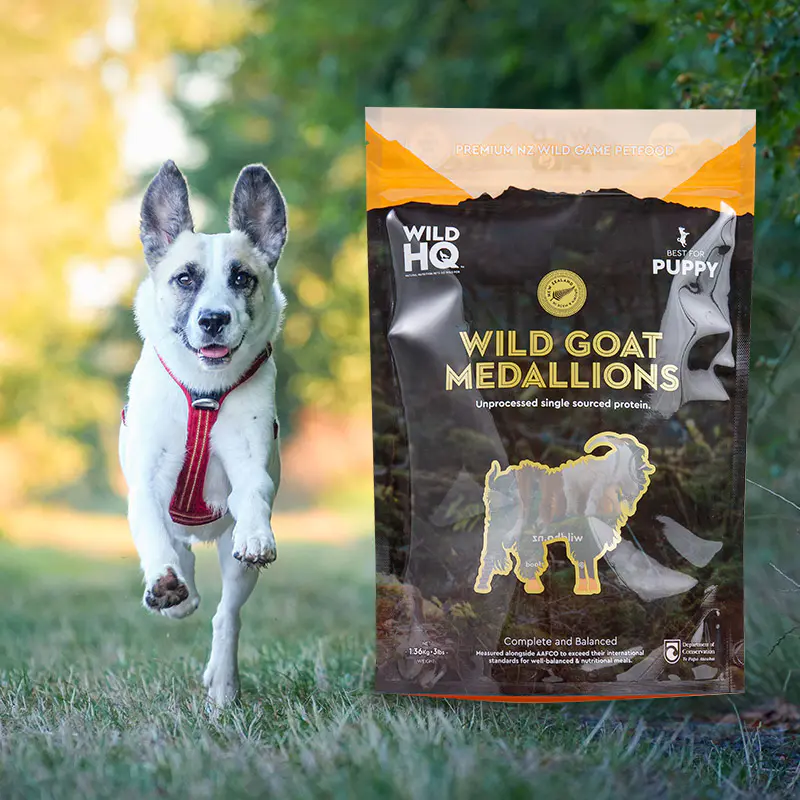 Kolorowa, ekologiczna torba na kawę z nadrukiem cyfrowym